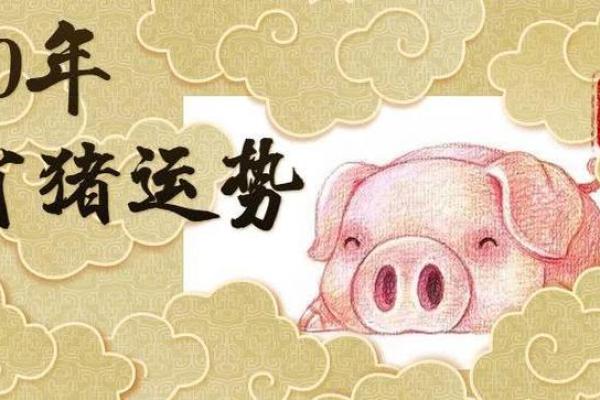 属猪人的2023年运势与命理解析:36岁阶段的智慧与挑战 属猪人的2023年运势与命理解析:36岁阶段的智慧与挑战