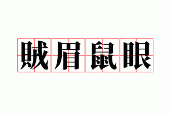 2020年鼠年命运解析：揭开属鼠人的生活与性格之谜