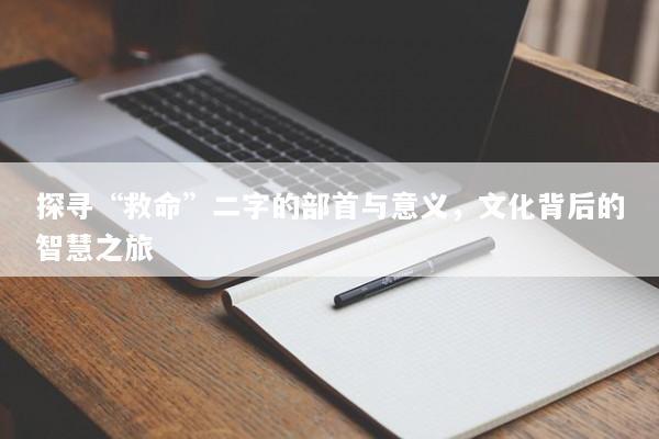 探寻“救命”二字的部首与意义，文化背后的智慧之旅