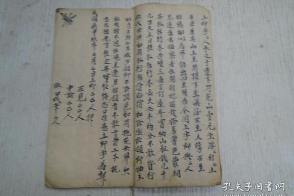 属猪冬月24出生的命理解析与生活建议