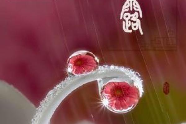 属猪冬月24出生的命理解析与生活建议
