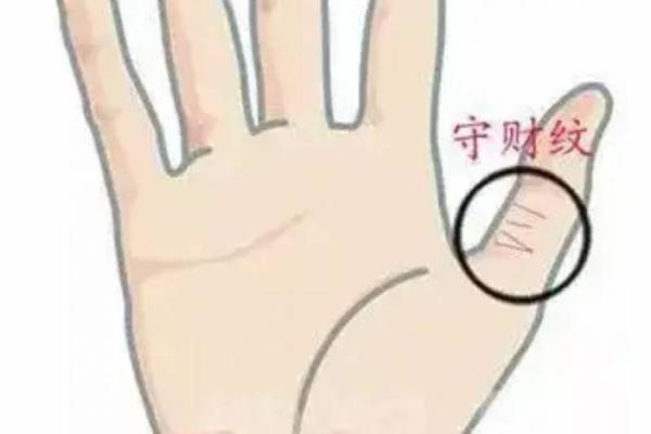 连城属什么是富贵命，探索命运的奥秘与财富之道