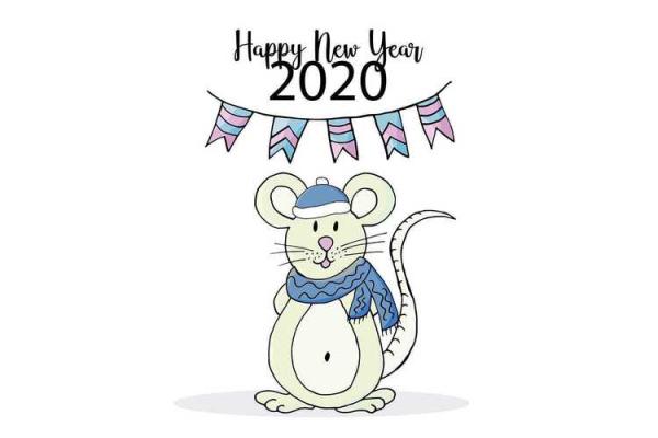 属猪人的2020年运势解析：命理与未来的揭秘