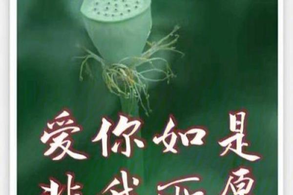 生命的美好：在平凡中发现非凡的力量