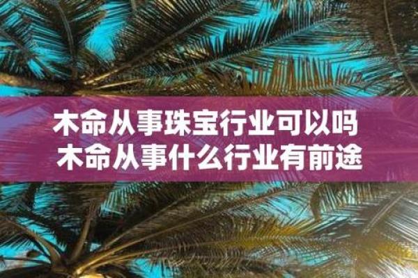 1985年木命：缺什么才能更好、更强大