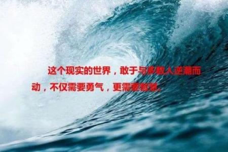 2019年马人命运解析：把握机遇，迎接挑战的智慧与勇气