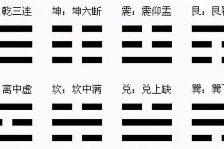 破解大海水命的秘密：五元素与风水的智慧