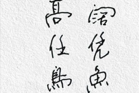 揭开命运的神秘面纱：如何掌握自己的命运与改变人生