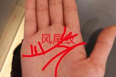 探寻命运之谜：如何通过日月判断人生方向