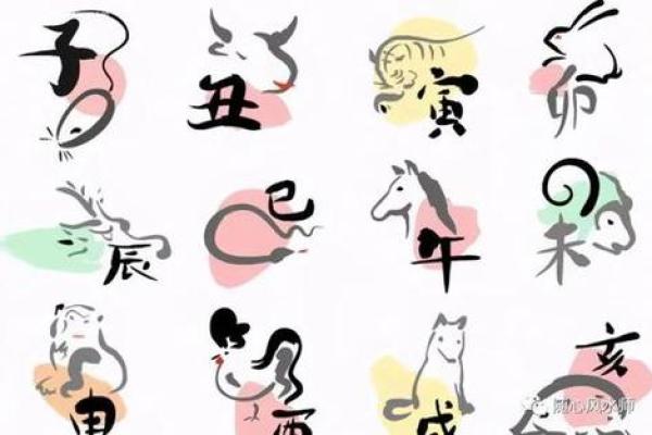 属羊命里缺水，带什么能改善运势？揭秘不同材质与颜色的选择！