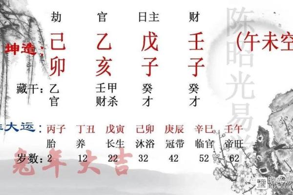 探索丁卯癸丑乙亥己卯命理背后的秘密与人生启示