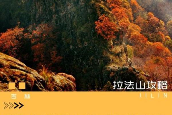 不论姓什么,命都好的人生哲学与追求的美好旅程 不论姓什么,命都好的人生哲学与追求的美好旅程