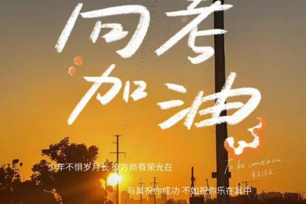 不论姓什么,命都好的人生哲学与追求的美好旅程 不论姓什么,命都好的人生哲学与追求的美好旅程