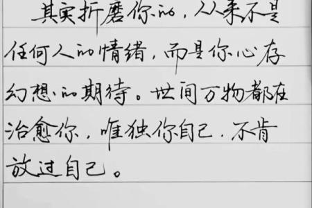 《什么命都有人爱你》：探讨爱的不同形式与深度