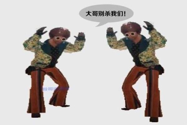 探秘云堇的零命与一命：命之差异与策略分析