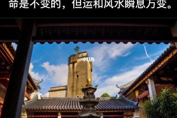68年的命运启示：如何理解你的命与运？