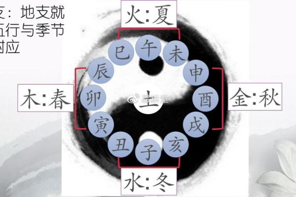 70年是什么年属什么命：探索1940年后的命运符号与人生启示