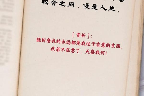 命里什么都不占，天地之间，你我如何把握人生智慧？