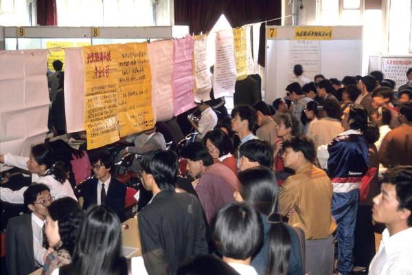 2002年：岁月流淌中的难忘印记与珍贵经历