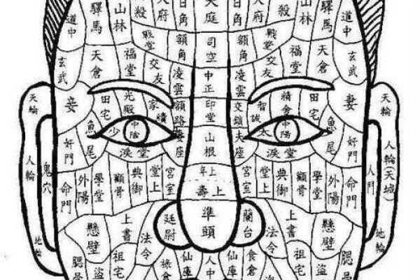 水命与火命的相济之道：探索五行相生的智慧