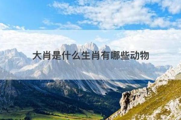 61岁生肖鸡的人生命运：智慧与责任并存的旅程