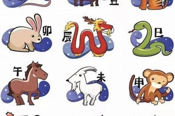揭秘命理：忌讳与生肖男人的绝妙搭配！
