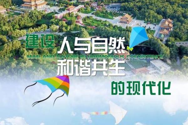 探寻饿金命者的植物选择：如何优雅地与自然共生