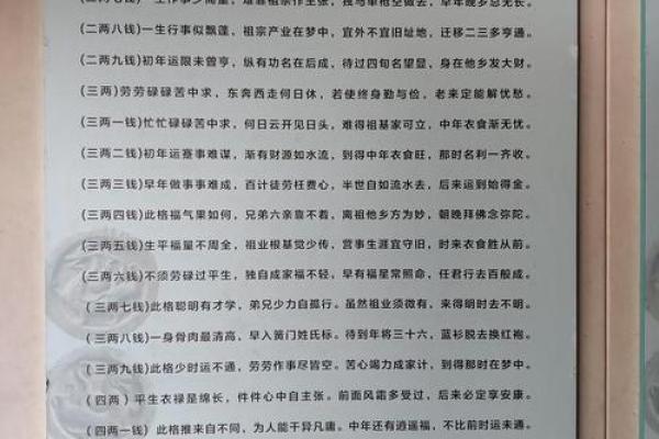 探秘四两六男命：为何这一命格如此特别？