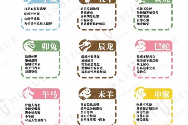 揭晓《英雄有泪》中的生肖密码：你知道吗？