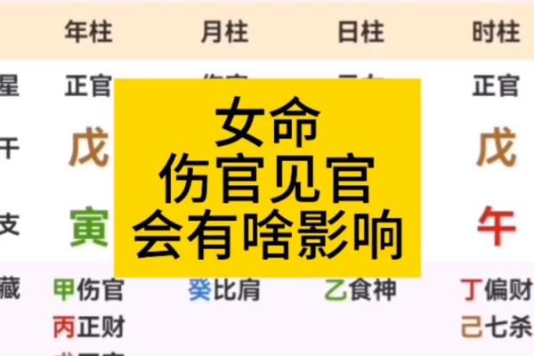 女孩命运分析：揭秘女孩命软的独特特点与影响