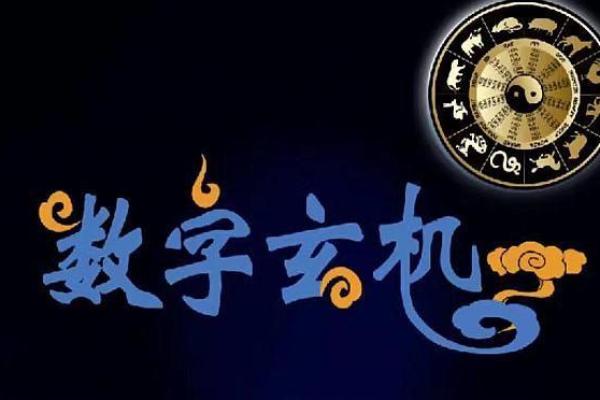 惧命休的数字密码：解锁命理的奥秘与玄机