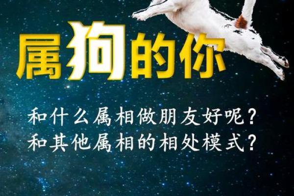 探索一九九五年属狗人的命运与性格特征