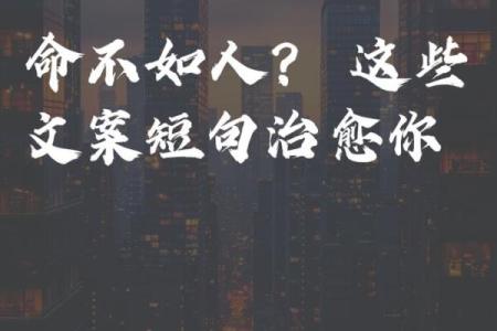了解你的命格：揭示命运的秘密与人生的选择