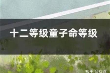 探秘童子命：那些无可奈何的命运与命理真相