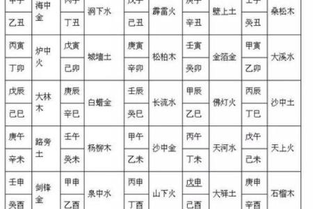 属狗亥时的命格解析：探索你的性格与人生轨迹之路