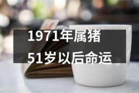 属猪巳时出生的人生运势与命理解析