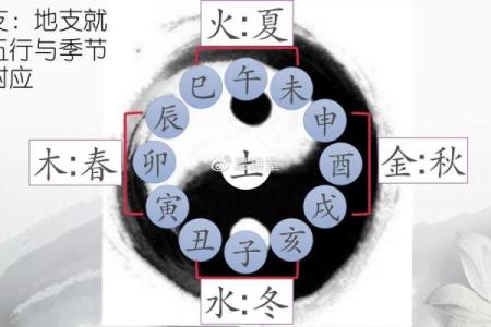 70年是什么年属什么命：探索1940年后的命运符号与人生启示