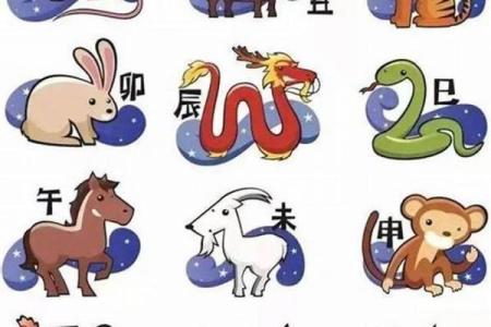 揭秘命理：忌讳与生肖男人的绝妙搭配！