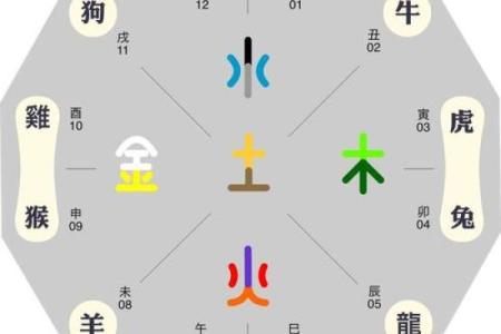 适合游泳的人命格解析：如何从命理上找到你的水上乐趣