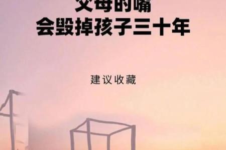 孩子命运的秘密：如何对他们的未来产生积极影响