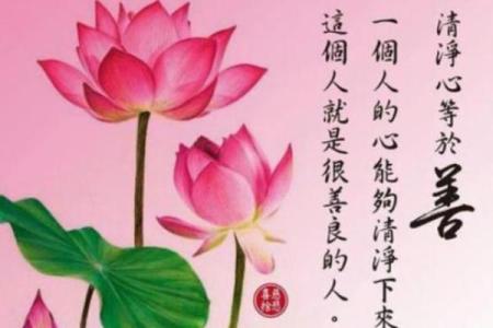 命运之舞：让我们探寻成语的智慧与人生的意义