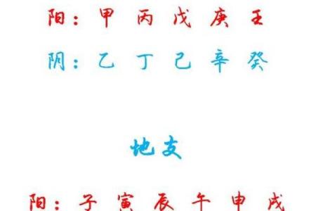 金命的命理玄机：避免使用的数字与揭示的奥秘