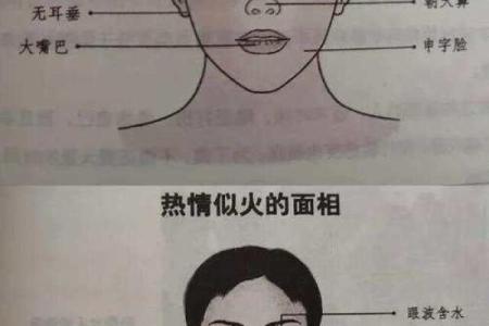 根据脸型测试你是什么命，探秘面相的秘密与运势关系！