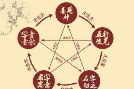 51岁属猪的命理探秘：金命的幸运与挑战