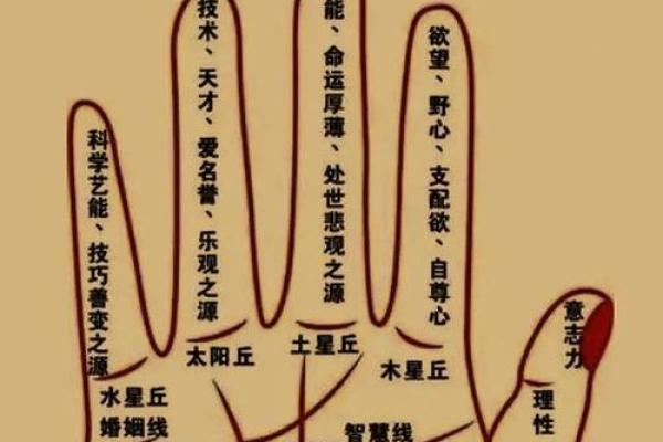探秘富贵长寿命：揭开人生背后的秘密与智慧