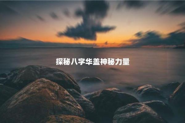 探秘命理中的“伤”：解读其意义与影响
