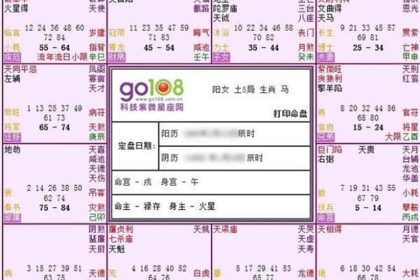 解析命盘，探寻女强人的命格特征与人生轨迹