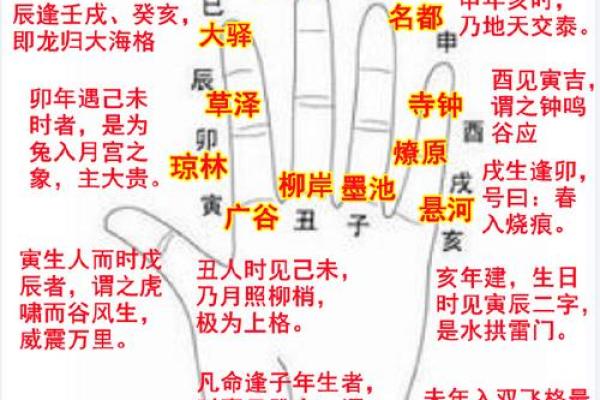探秘命理学：地支背后的深厚智慧与人生含义