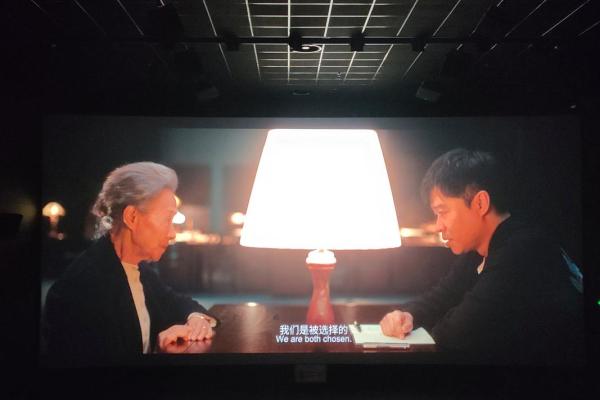 解密命运：她们在命短的生活中找到的力量与光芒
