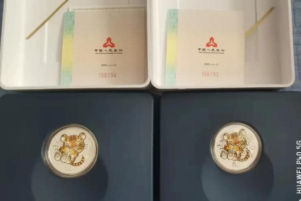 探秘壬申虎年：适合哪些命格，带来好运与机遇？
